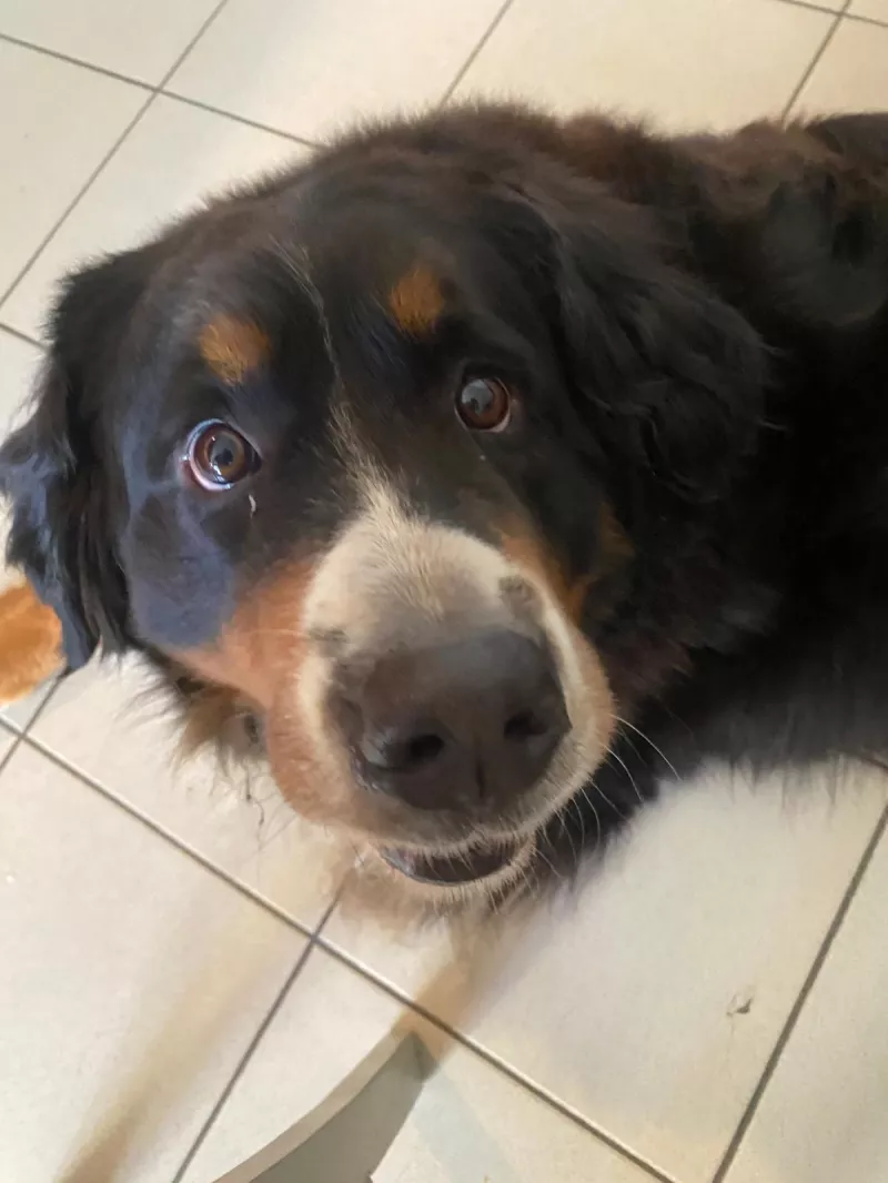 208ac806-1a7a-4c89-b61b-3053c2b740b2