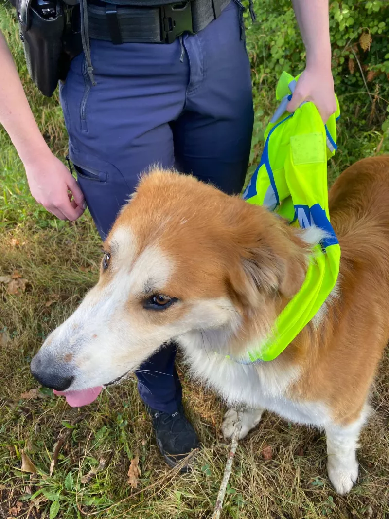 7023dd6c-ea23-4f6f-9fcd-1cd2f2f1ec57